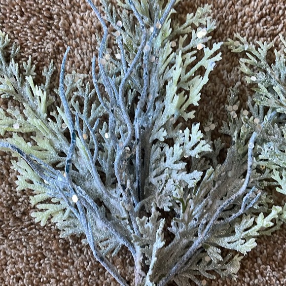 2 Bloom Room Holiday Picks - Picture 3 of 4